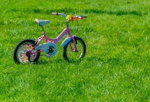 АИДТ приглашает производителей детских велосипедов на заседание по льготной ставке НДС