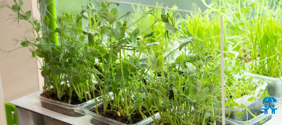 Анжела Романова: Мы идем на «УЧПРОМ-2025», чтобы показать, как современные технологии могут изменить обучение уже сегодня