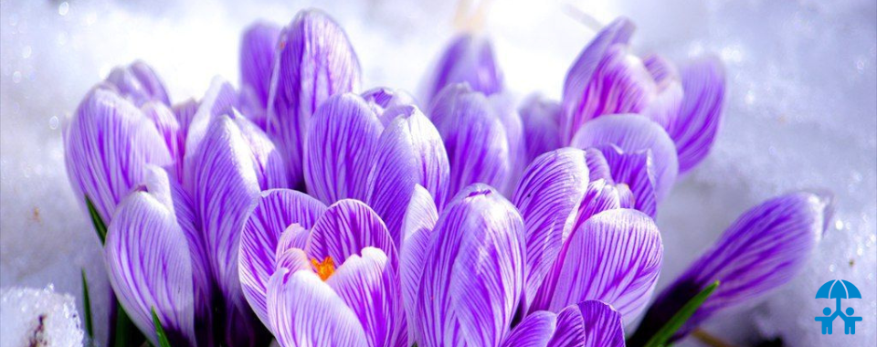 Ассоциация поздравляет именинников марта - 2024