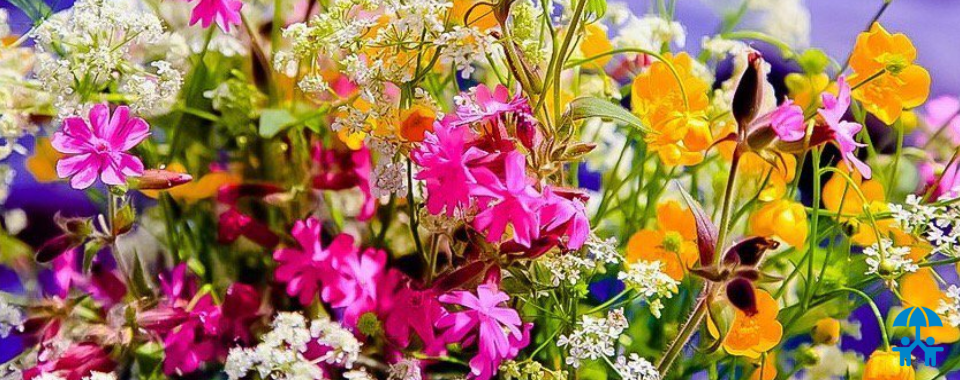 Ассоциация поздравляет именинников июня