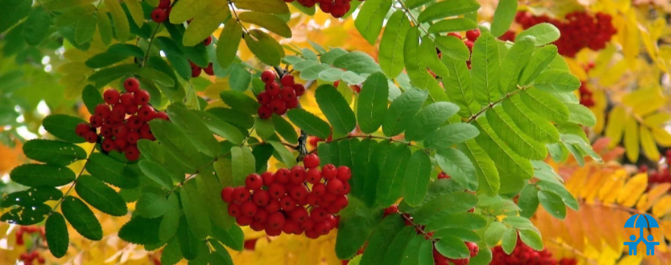 АИДТ поздравляет именинников сентября 2023