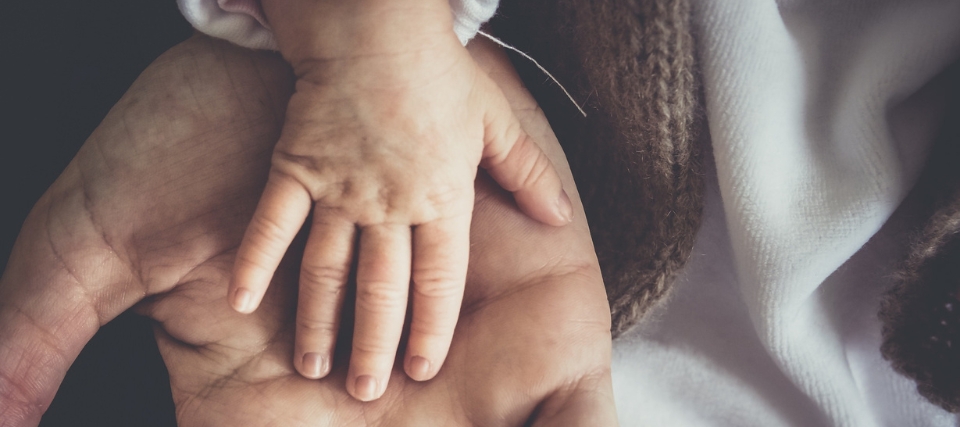 Безопасность с пеленок: в РФ обновят 23 стандарта на детское питание