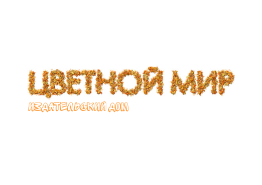 Цветной мир Издательский дом