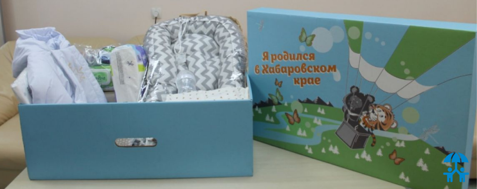 В Хабаровском крае с 1 сентября стали выдавать «Подарки новорожденным»