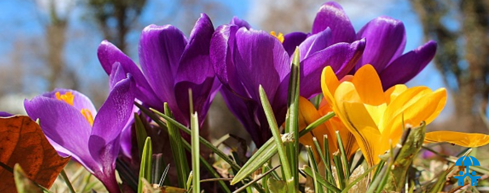 АИДТ поздравляет именинников апреля 2023