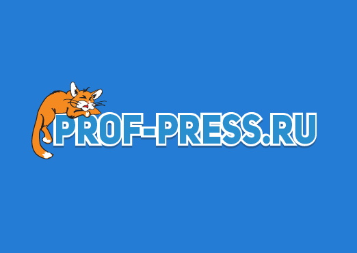 Проф-Пресс, ИД