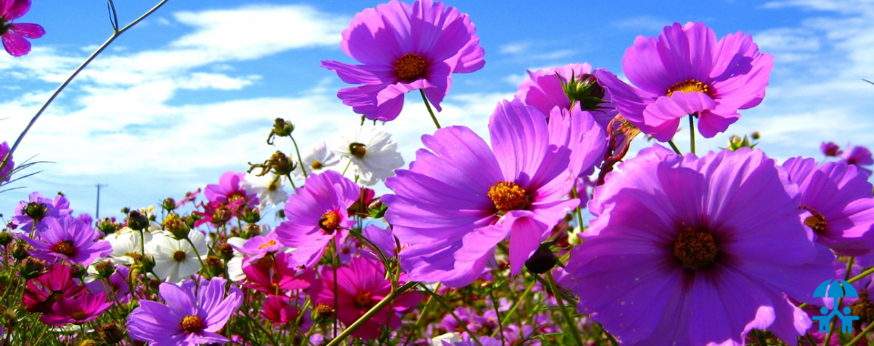 АИДТ поздравляет именинников июля 2023