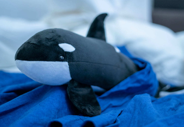 мягкая игрушка.png