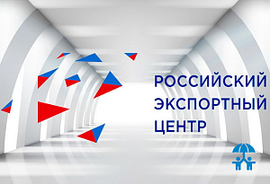 Российский экспортный центр приглашает производителей ИДТ на вебинары по электронной торговле