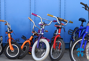 Рынок детских велосипедов в России: объем, структура и ключевые тенденции