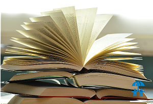 Нелегальное чтиво: в России выросло число контрафактных книг