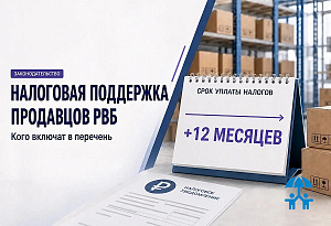 Налоговая поддержка продавцов Wildberries: кого включат в перечень РВБ и какие платежи перенесут