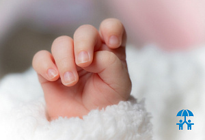 С 2026 года в Ростовской области будут выдавать сертификаты на покупку товаров для новорожденных