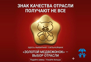 Защита проекта как точка роста бренда: разбор на вебинаре АИДТ